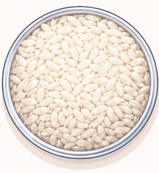 Raw Rice